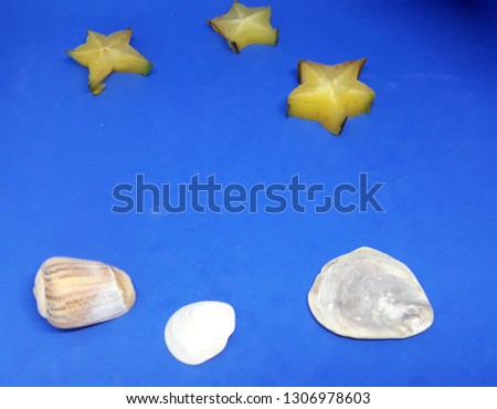 carambola cut in the shape of stars and sea shells, on a blue background looking like a starry sky and sea