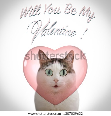 valentine's day card with funny cat and heart on white background with will you be my valentine inscription copy space