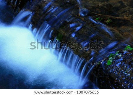 a picture of an exterior Pacific Northwest forest with small waterfalls