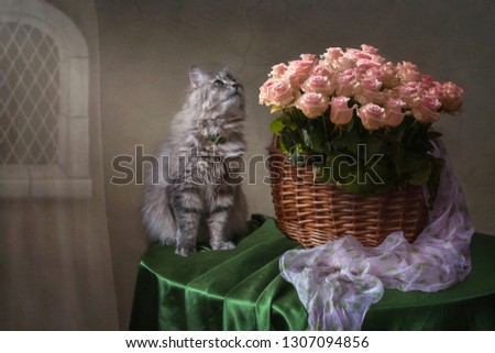 Still life with splendid bouquet of roses and  pretty kitty