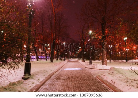 Winter city park. Paths illuminated with multi-colored lights at night in a winter city park. Night city landscape. Park is a place of rest and entertainment of citizens. Soft focus.