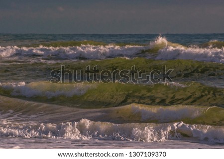 Stormy sea  with splashes from big waves. Large waves with white foam on the crest rise above the surface of the water and run to the shore. Background of beautiful nature