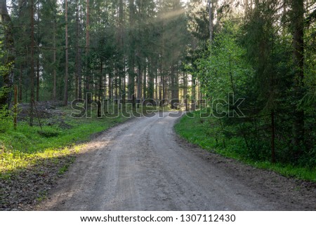 empty country gravel road with mud puddles and bumps. dirty road surface with sand and small stones