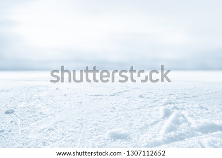 ICE HOCKEY STADIUM, COLD LIGHT BACKGROUND, FROSTY WINTER