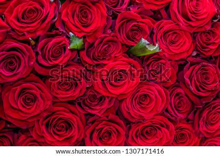 Natural red roses background. top view