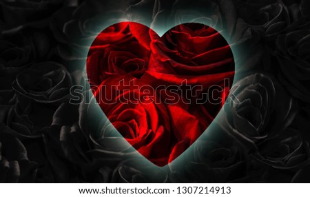black roses with heart isolated on a black background. Greeting card with heart love you.