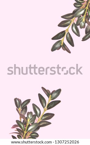 Green branches on pink background.
