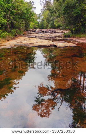 Reflection of trees and cloudy sky on red rock river in the green forest.