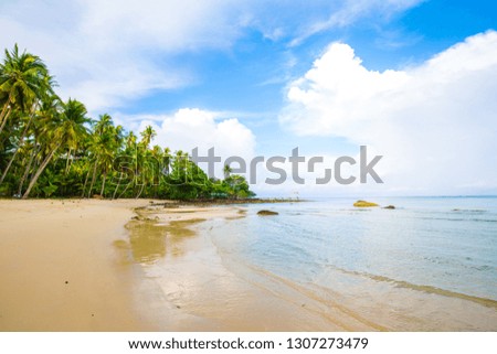 Beautiful idyllic tropical empty sea beach with coconut palm tree