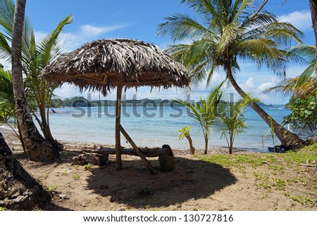 Rustic bench with palm leaves thatch umbrella and coconut trees on the shore of the Caribbean sea