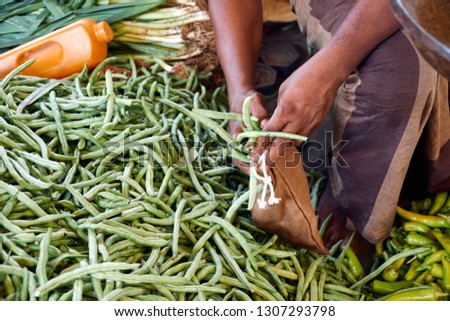 Market Seller Put Asparagus to Eco Textile Bag