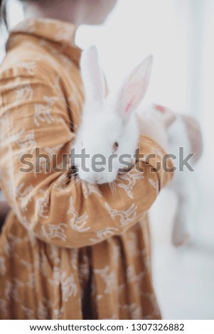 A rabbit sitting in girls arms