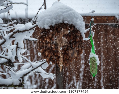 Hops wreath in deep snow during winter mixed with bird food to keep the animals alive