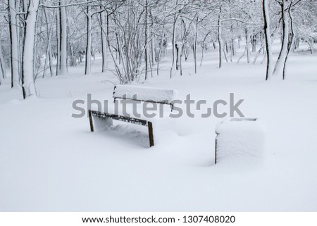 Snow-covered benches in the city park, snow in the city, snowfall in the city, trees in white snow