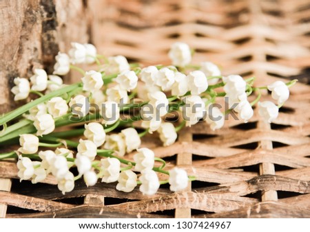 white lilies of the valley on wood background
