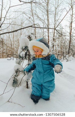 A child for a walk in the winter. Kid in winter clothes. Family walks in nature in winter. Family walk. Winter forest. Snow park.