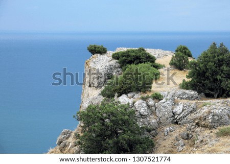 best view of magnificent rocky cliff with white stones, sand, and green mountain pines and trees on the blue sea coast in Crimea