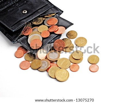 coins euro wallet
