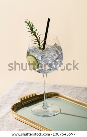 Gin tonic, an aperitif garnished with cucumber and rosemary Royalty-Free Stock Photo #1307545597