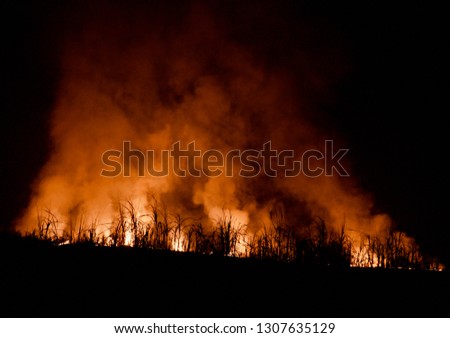 Large fire flames with smoke around a forest area at night