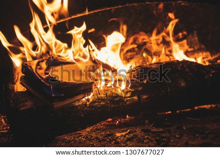 The book is burning in the stove fire
