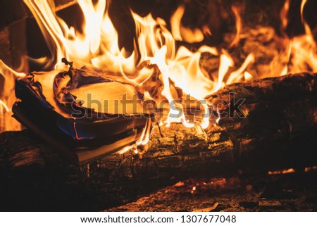 The book is burning in the stove fire