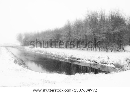 Reflection of trees with snow in water 