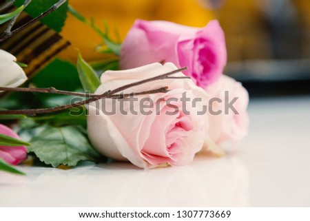 Delicate pink roses as background. Retro filter. Soft color. Bouquet of flowers for the design of postcards, invitations, congratulations on the holiday, birthday