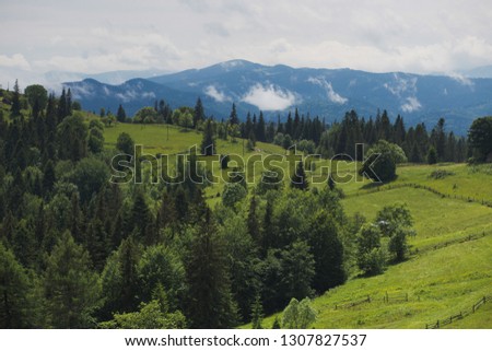 Beautiful scenic green grassy landscape with many trees growing and cloudy mountains on horizon. Many wooden fences in field. Horizontal color photography.