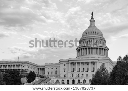 U.S. Capitol Building Washington, DC USA Royalty-Free Stock Photo #1307828737