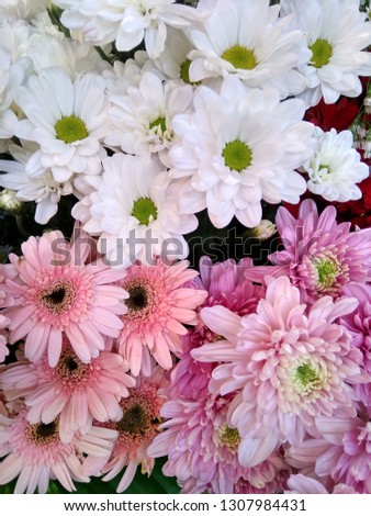 
Various flower arrangements are arranged to create beauty