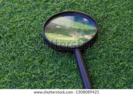 magnifying glass on the green grass.