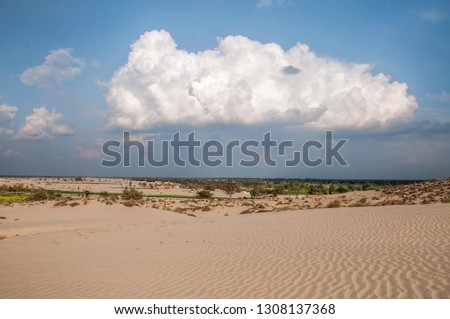 An Oasis in the Thar desert 