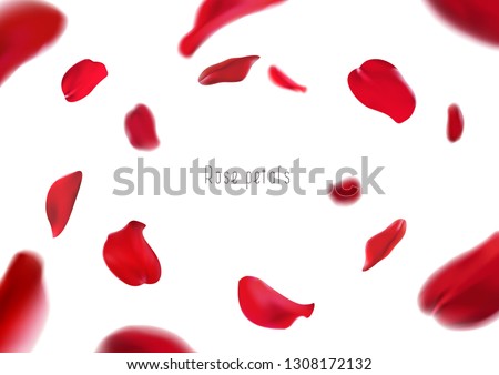 3d realistic isolated red rose petals circling in a whirlwind