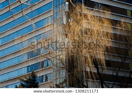 Glass wall and window of modern office building, glass building