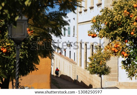 The street of Jerez de la Frontera with orange trees in february, Andalusia, Spain Royalty-Free Stock Photo #1308250597