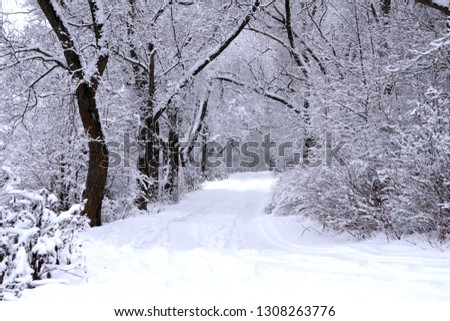 Alley in snowy morning natural nobody rural,