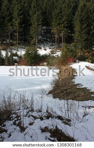 Romantic winter pictures with a lot of snow in the forest and wood Pile of tree trunks during snowfall