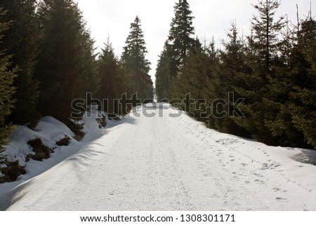 Romantic winter pictures with a lot of snow in the forest and wood Pile of tree trunks during snowfall