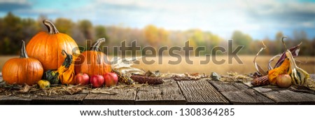 Thanksgiving With Pumpkins Apples And Corncobs On Wooden Table With Field Trees And Sky In Background	