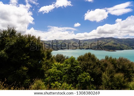 view from the onawe track in New Zealand, amazing ocean bay in akaroa New Zealand, onawe walkway with beautiful nature and blue water, great New Zealand nature photography, nature background