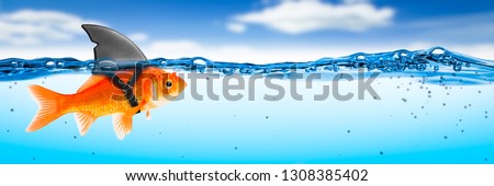 Goldfish With Shark Fin Costume With Blue Sky And Clouds - Brave Ambitious Entrepreneur/ Business Vision Concept	 Royalty-Free Stock Photo #1308385402