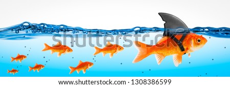 Small Brave Goldfish With Shark Fin Costume Leading Others - Leadership Concept Royalty-Free Stock Photo #1308386599