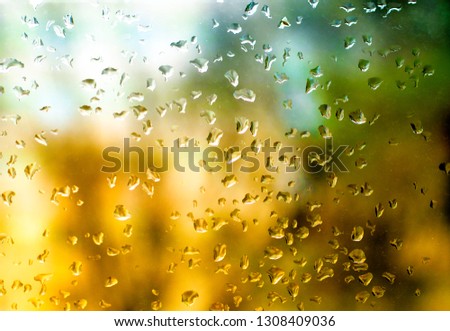 Rain drops on window with green tree in background. Condensation on the glass in the morning.