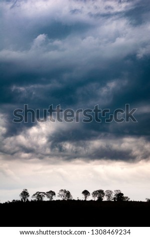 Tree silhouettes on the horizon under stormy clouds