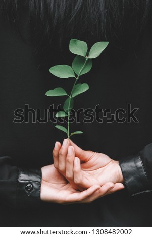 girl hand holding clover leaf in garden, back to nature, love earth, copy space.