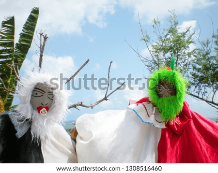 Papangus brazilian carnival costume