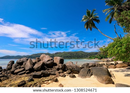Luxury White Sand Beach with Palms and Stones of the Paradise Island in Indian Ocean, Mahe, Seychelles