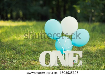 Green lawn in summer park decorated with blue and white decor for first baby boy birthday celebration. Word One and balloons standing on grass. Horizontal color photography.