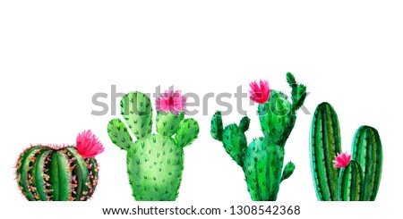 Exotic green cactus. Tropic cacti. Watercolor hand drawn botanical illustration. Clipart design for stickers, postcard, invitation, cover, print, poster, pattern, decor, wrapping, fabric, stationery.